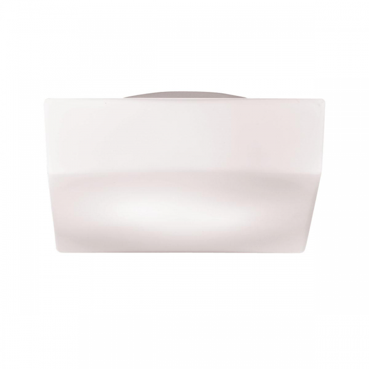 Amata 12 Inch LED Flush Mount