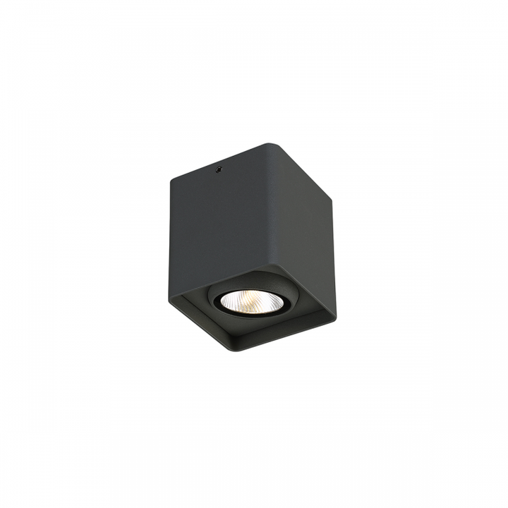 Outdoor LED Surface Mount