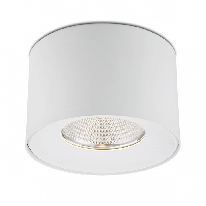 Parkway 8 Inch LED Flush Mount