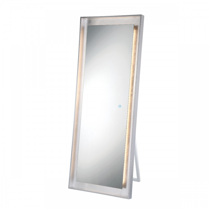 Anya 26 X 65 Inch LED Mirror