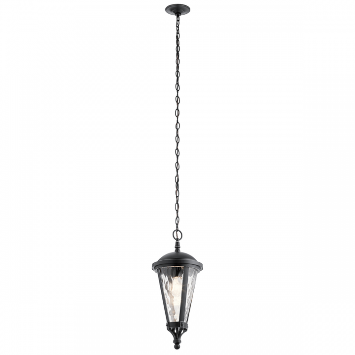 Cresleigh 1 Light Outdoor Pendant