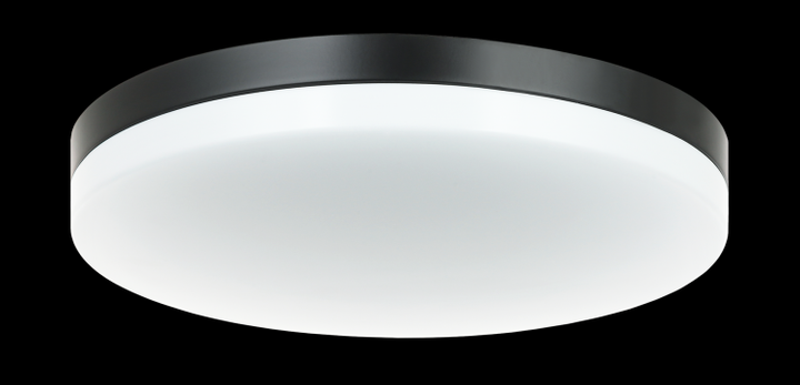 Orion LED Flush Mount