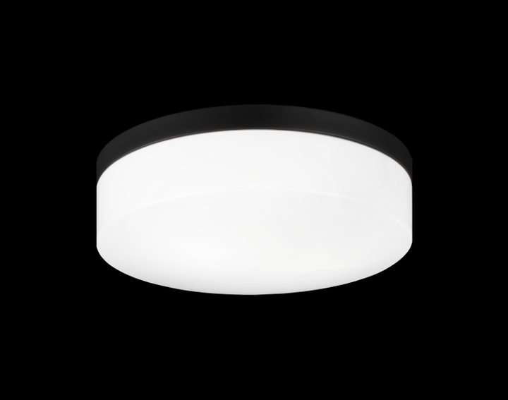 Xenon 2 Light Flush Mount