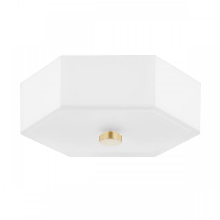 Lizzie 2 Light LED Flush Mount